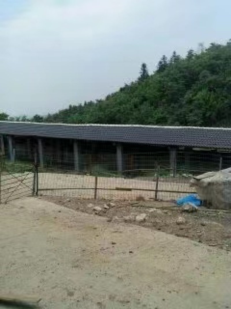 遵义市绥阳县2600亩综合农场，可出租合作