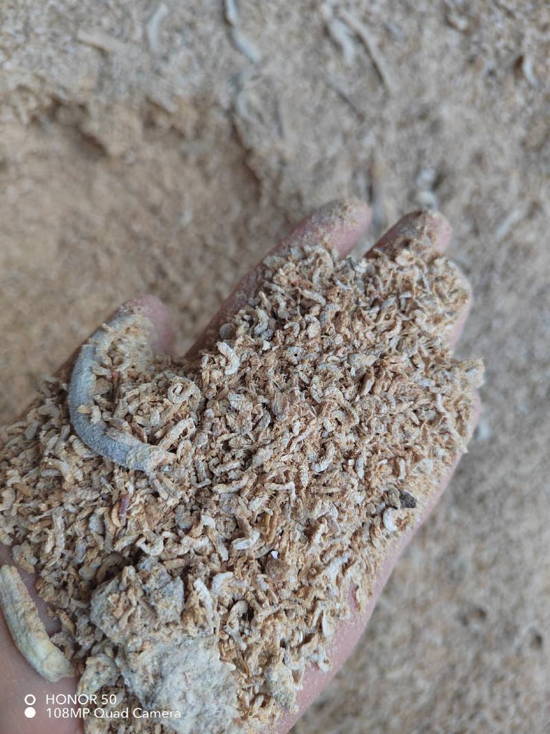 食品虾皮电商供应，大量有货，价格非常优惠。