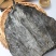 去尾海带头40公分厂家直供电商社区团购新货