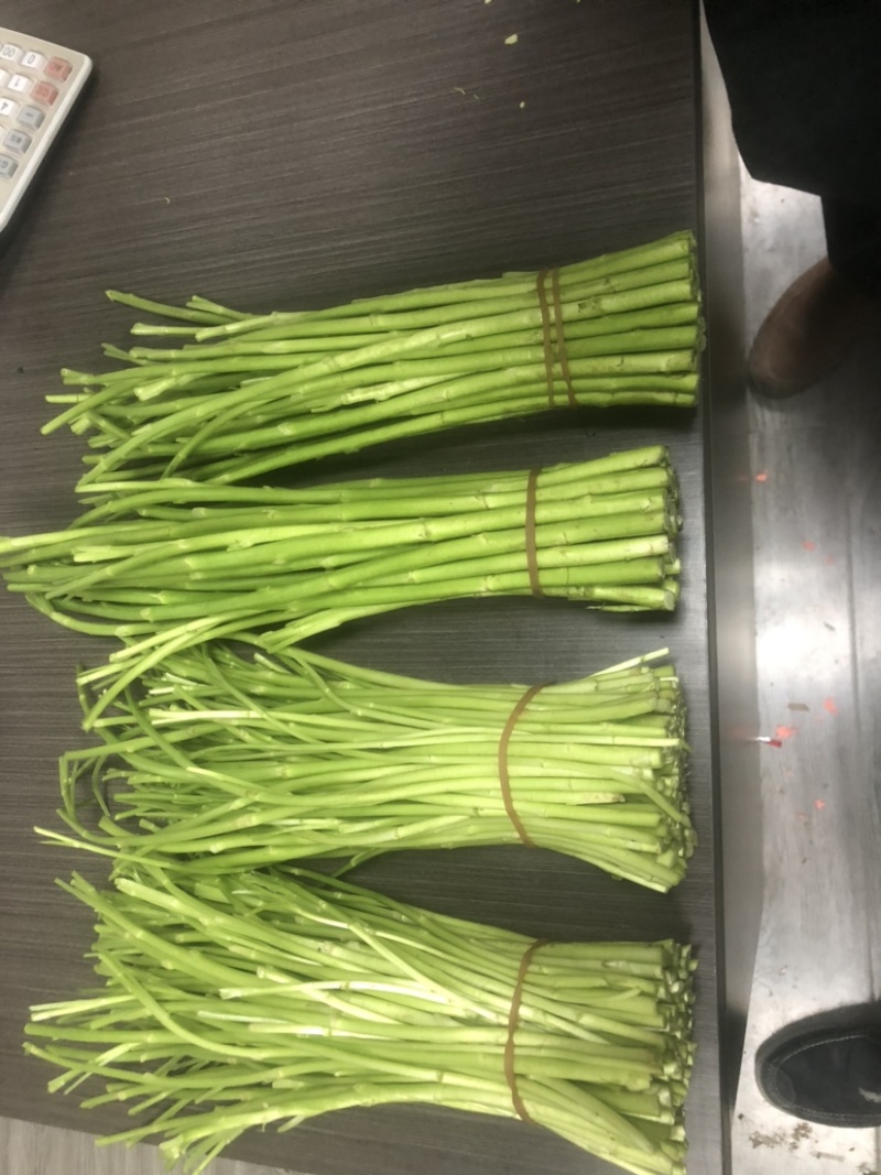 泗阳芦蒿