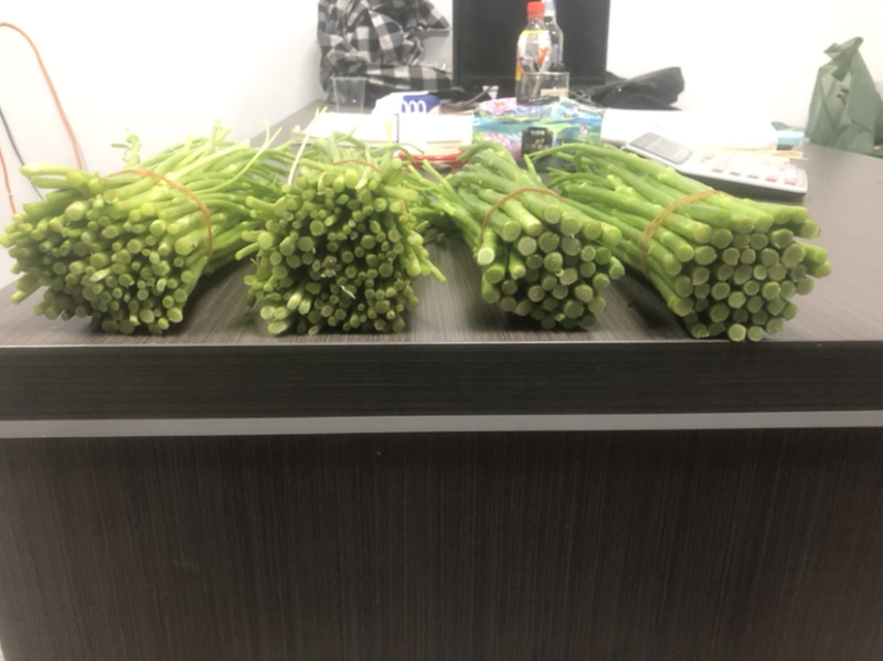 泗阳芦蒿