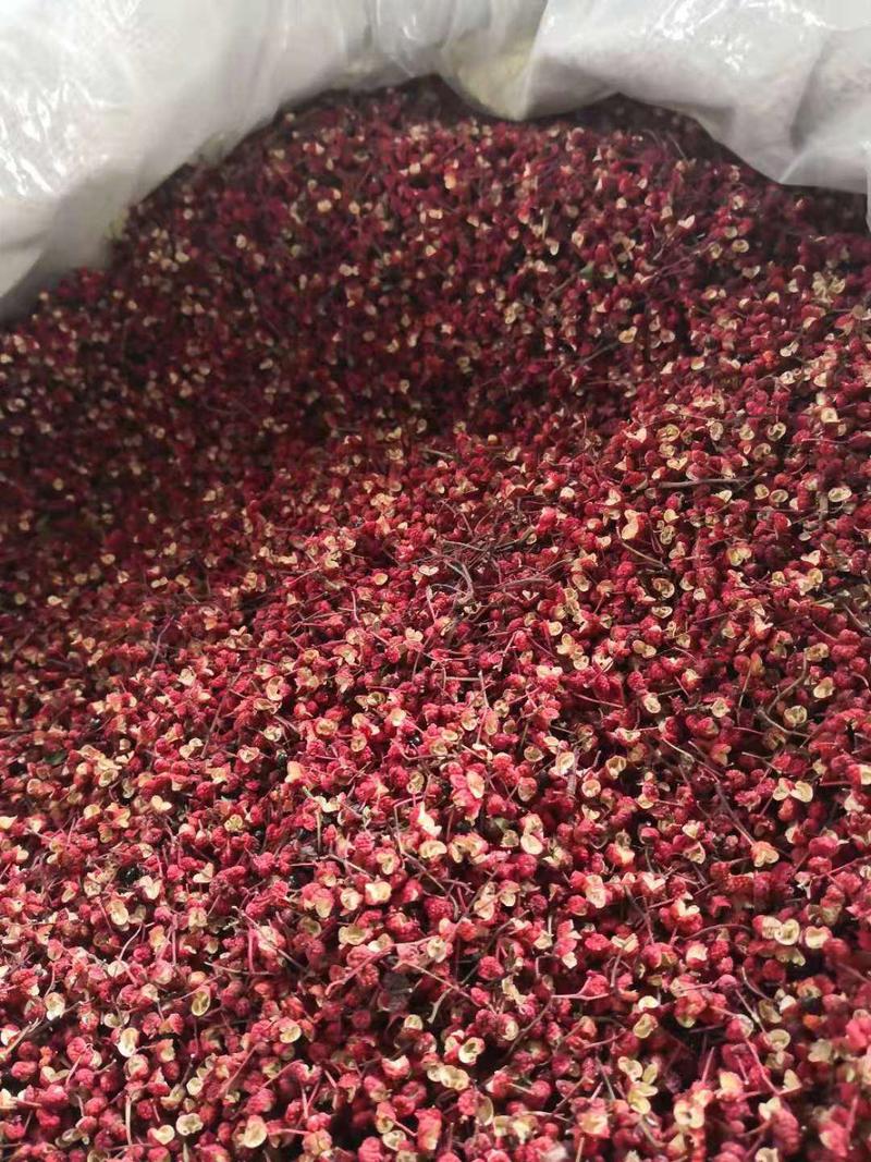 甘肃礼县红花椒产地直发一手货源批发品质保证价格美丽