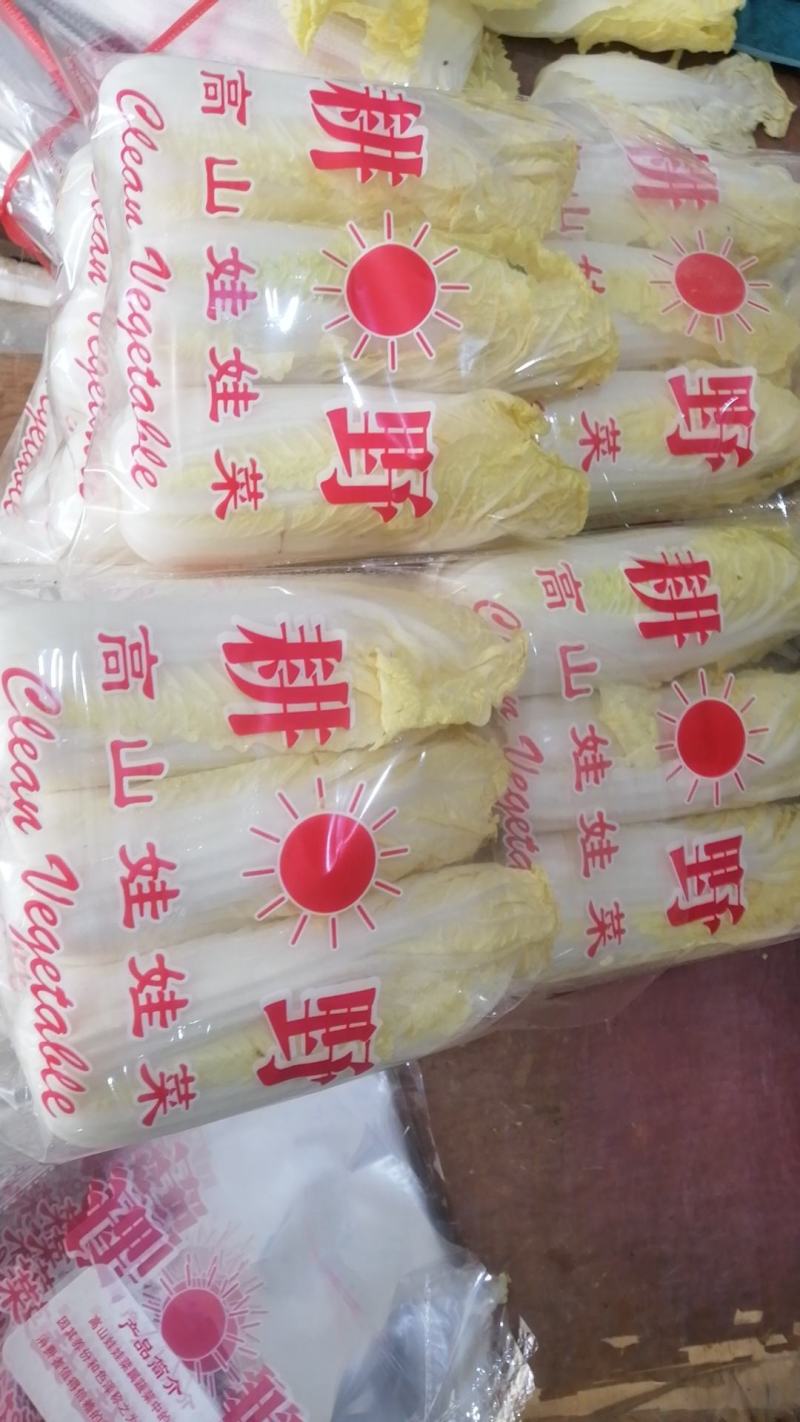 娃娃菜小娃娃菜大娃娃菜各种精品包装常年供应市场