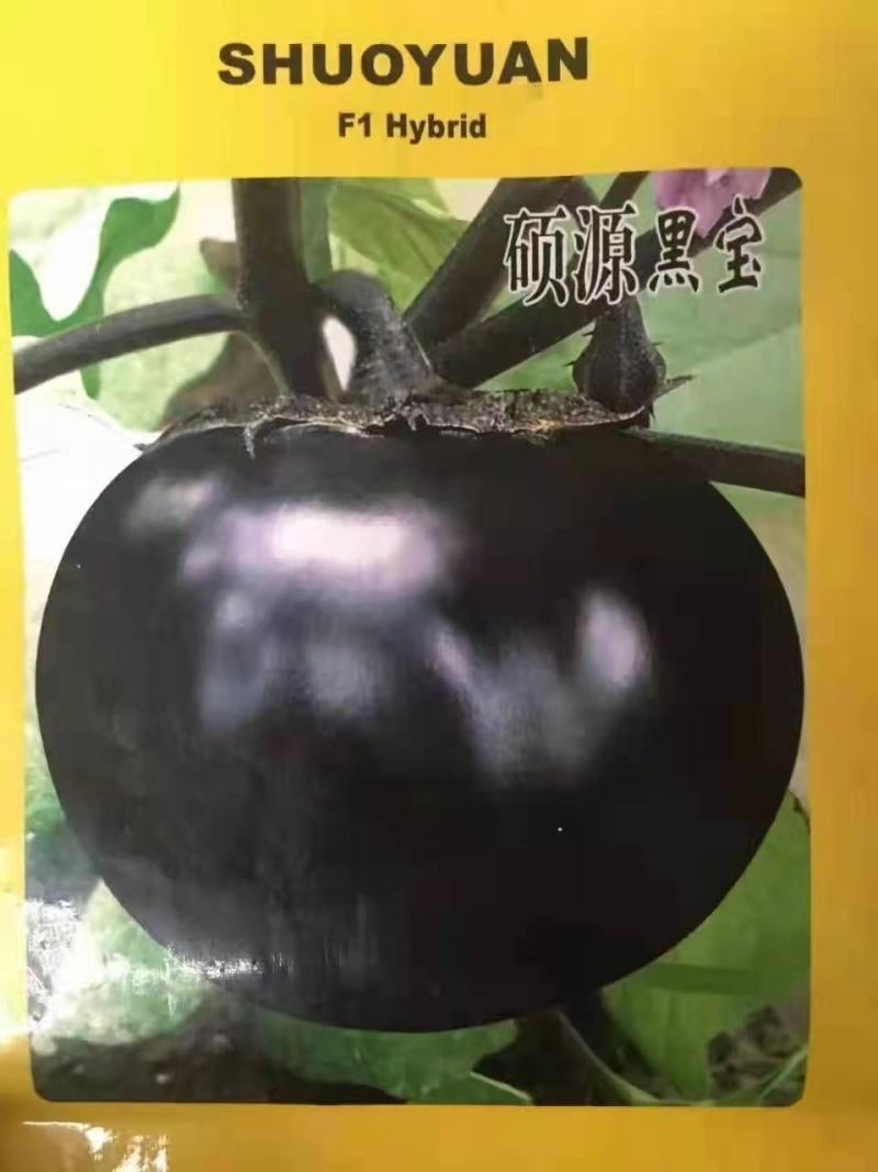 （热销）河北邯郸嫁接圆茄苗嫁接长茄，基地直供、全国发货，