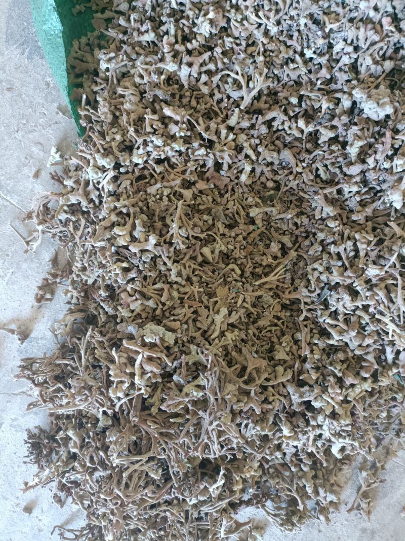 倍花，有现货，单宁酸含量30多，化工厂，养鱼饲料