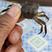 优质蟹苗，保证质量死蟹包赔成活率高，免费提供技术指导，适