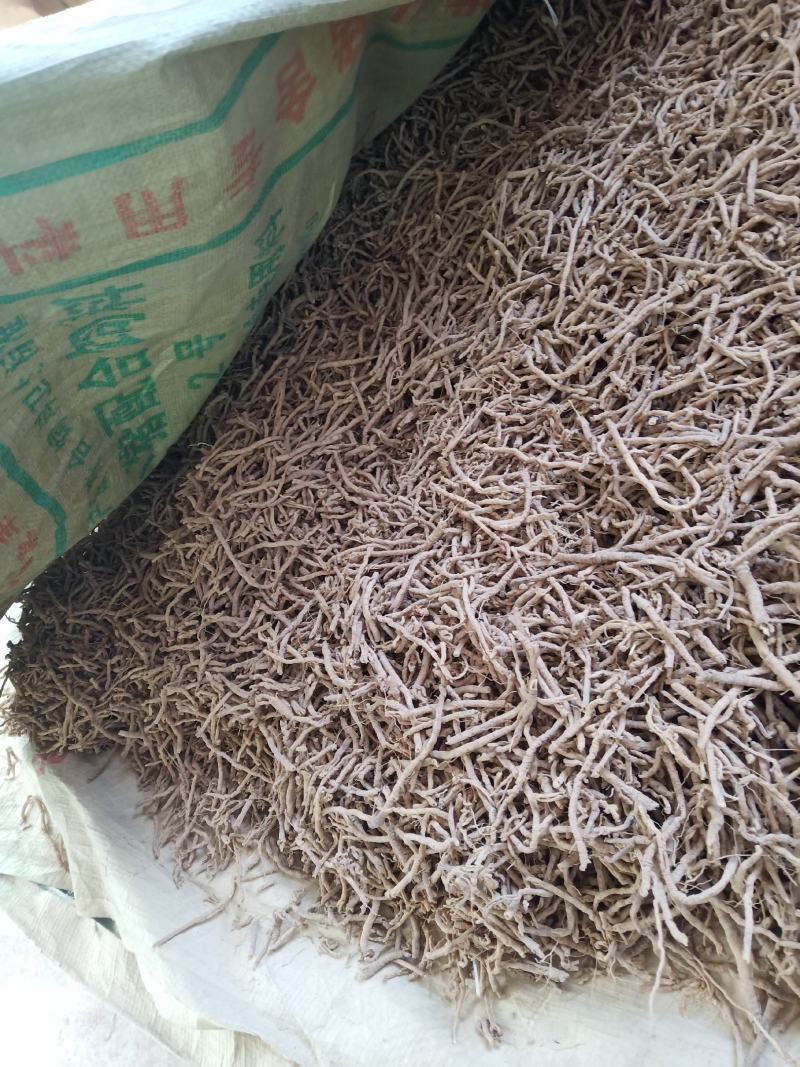 远志筒山西正品，要的来预定欢迎咨询，信誉第一，量大从优。