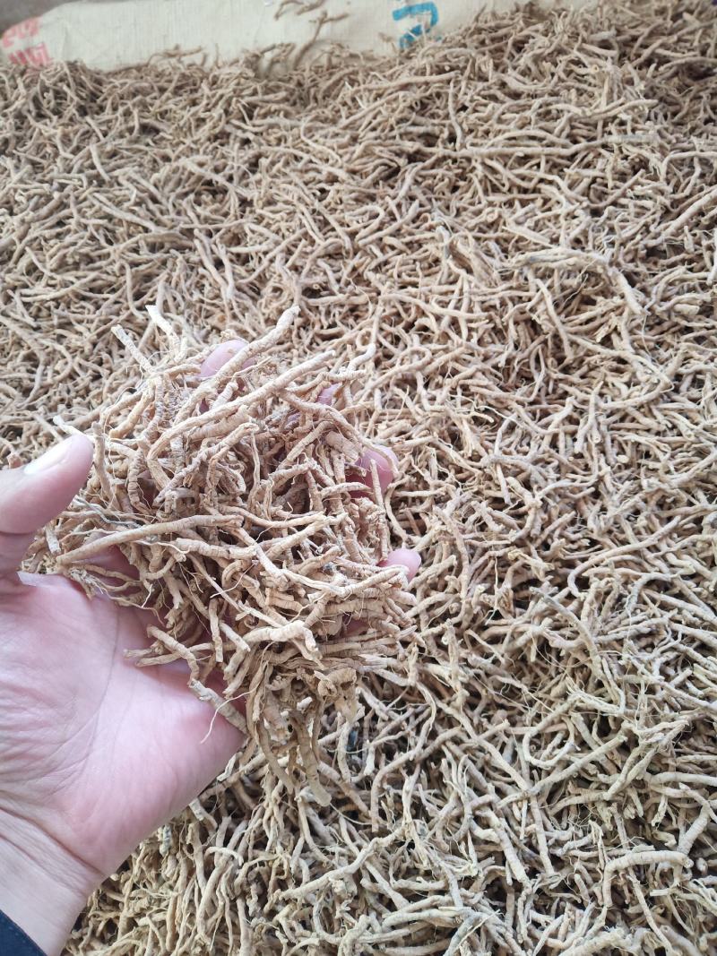 远志筒山西正品，要的来预定欢迎咨询，信誉第一，量大从优。