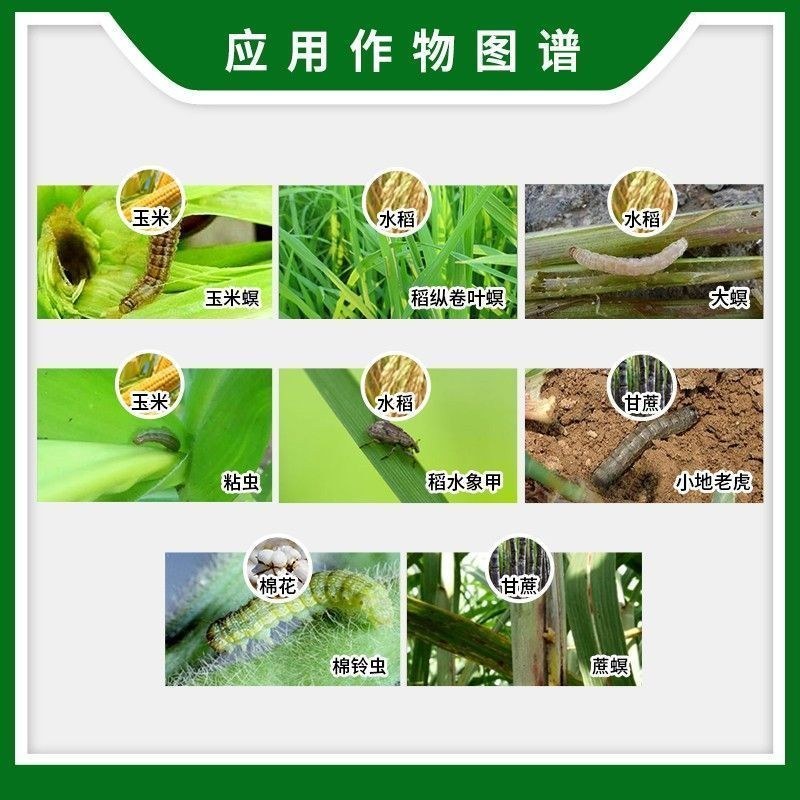 甲维氯虫苯甲酰吊丝虫青菜甘蓝玉米钻心虫稻卷叶螟农药杀虫剂
