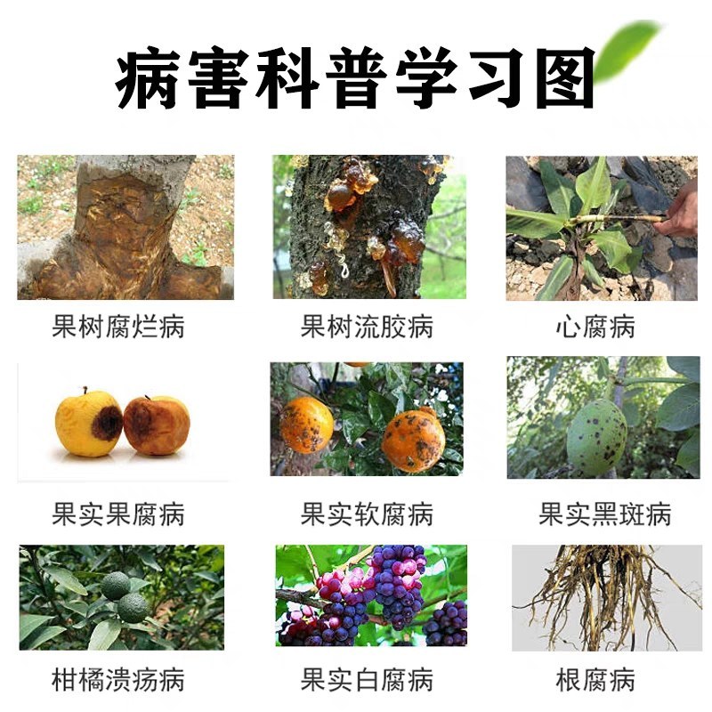 凯闲辛菌胺醋酸盐苹果树腐烂病农药杀菌剂果锈病毒病辛菌胺盐