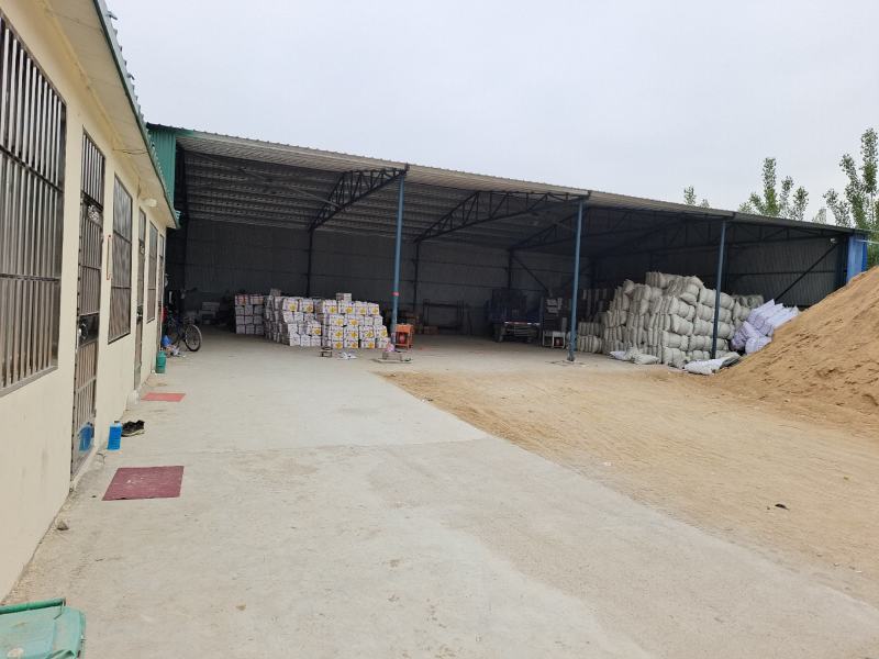 滕州三模，二模新土豆荷兰十五4.20大量上市