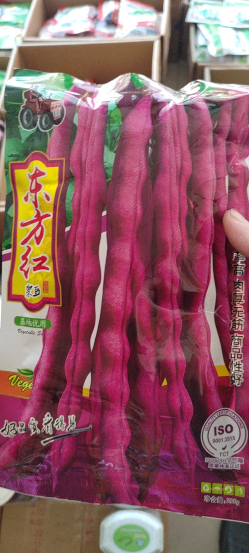 5装红架豆种子老山豆种子红芸豆种子红四季豆种子