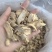 干姜片产地一手货源大量到货需要联系百信药业