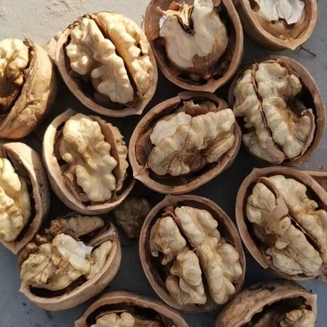 阿克苏核桃