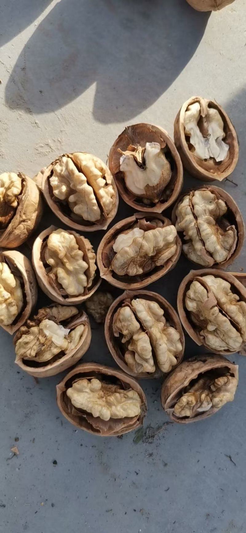 阿克苏核桃
