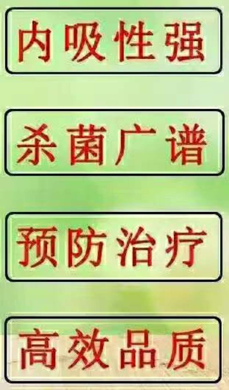 36%甲基硫菌灵，治疗：叶斑病，炭疽病，黑星病，疫病等