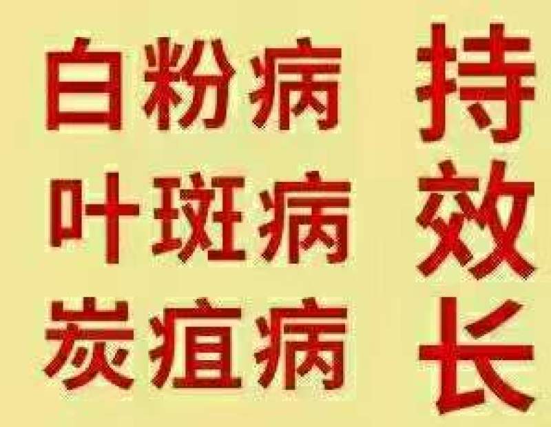 36%甲基硫菌灵，治疗：叶斑病，炭疽病，黑星病，疫病等