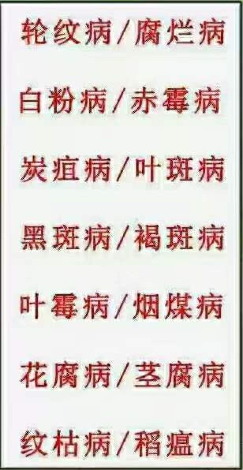 36%甲基硫菌灵，治疗：叶斑病，炭疽病，黑星病，疫病等