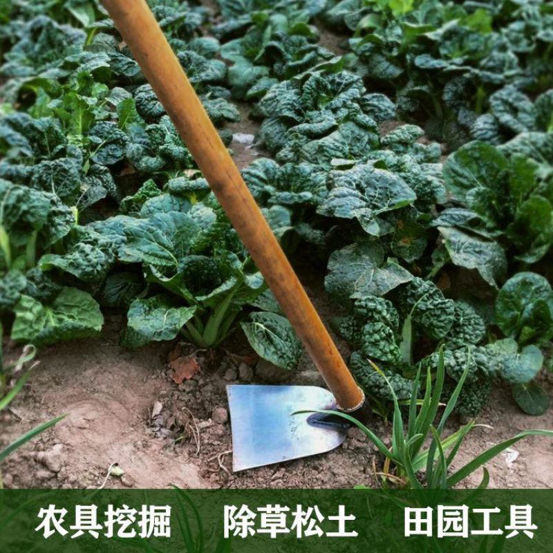 锄头锄草锄头农用工具除草锄头挖地挖土加长加厚木柄全钢农具