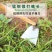 锄头锄草锄头农用工具除草锄头挖地挖土加长加厚木柄全钢农具