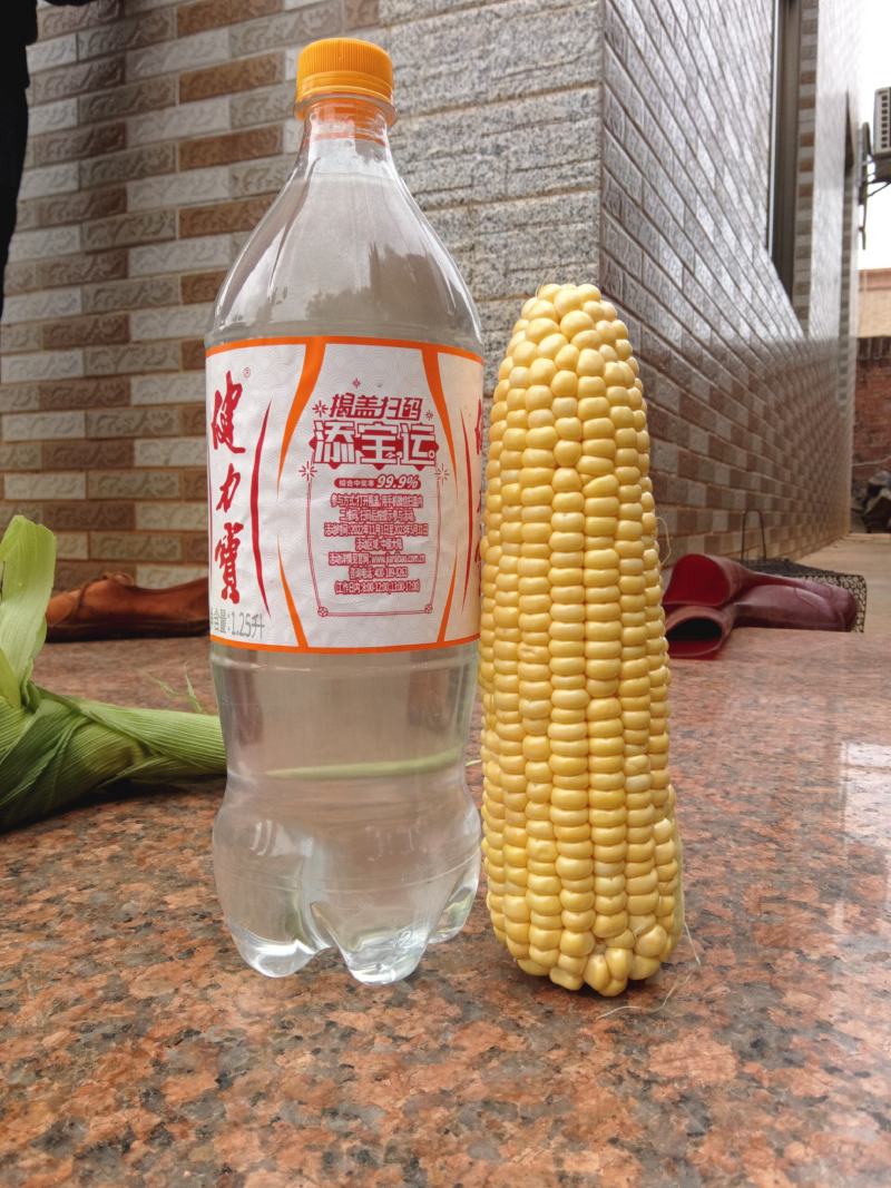 精品水果玉米，一手货源，大量上市，品质保证，全国发货