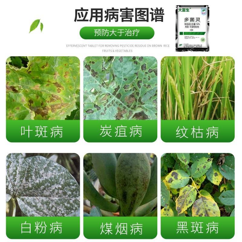 江苏蓝丰大富生50%多菌灵赤霉病菌核病叶斑病倒秧病农药杀