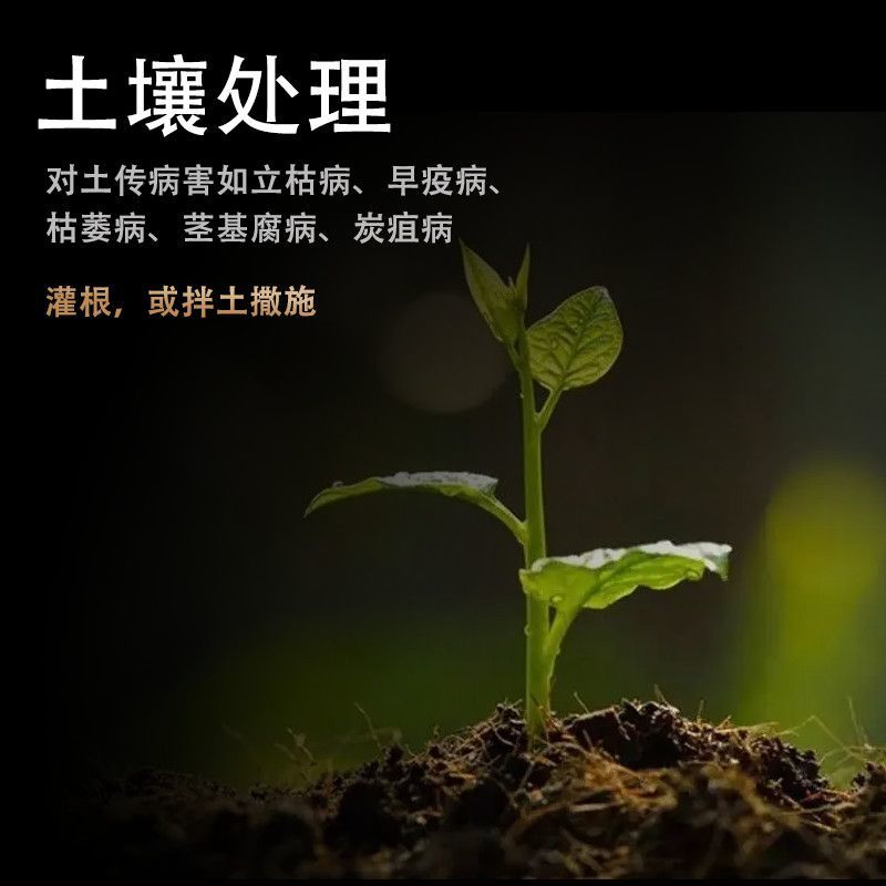 江苏蓝丰大富生50%多菌灵赤霉病菌核病叶斑病倒秧病农药杀