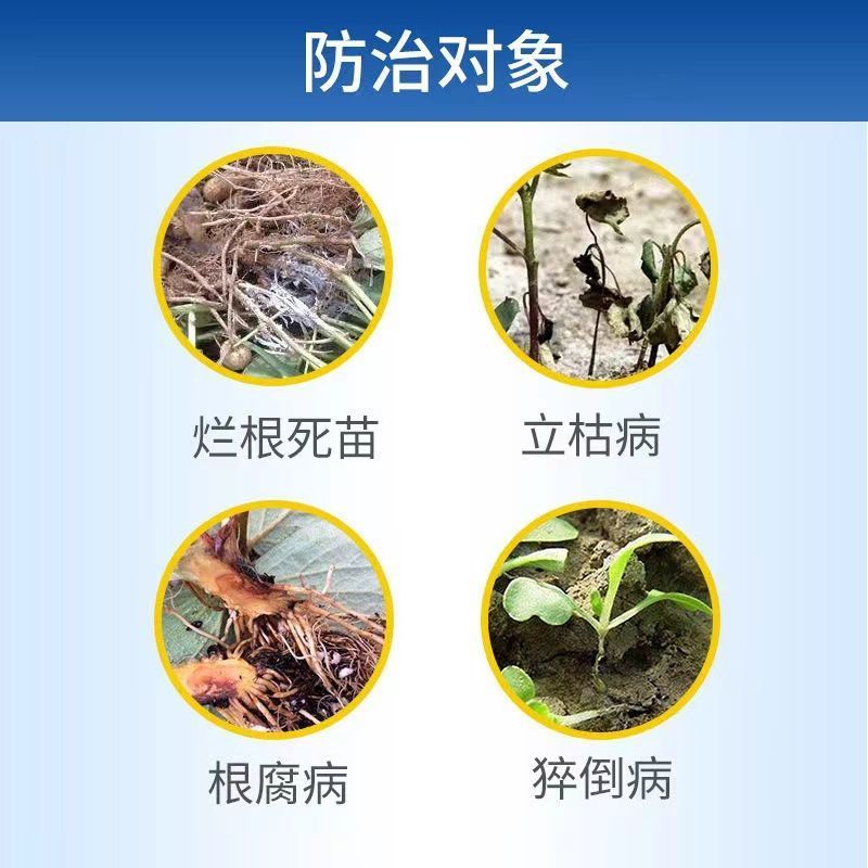30%甲霜恶霉灵立枯病根腐病枯萎病死苗烂根杀菌剂
