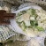 精品菜花漳浦菜花一手货源规格齐全商超供应量大从优