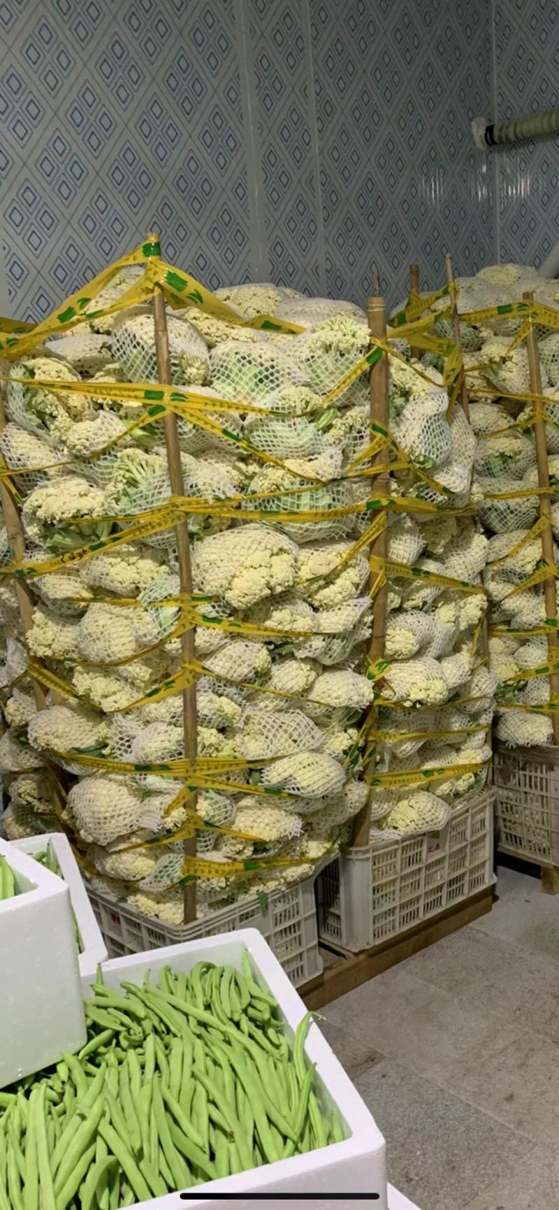 精品菜花漳浦菜花一手货源规格齐全商超供应量大从优