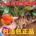 济薯26西瓜红剪苗欢迎老板前来选购量大从优