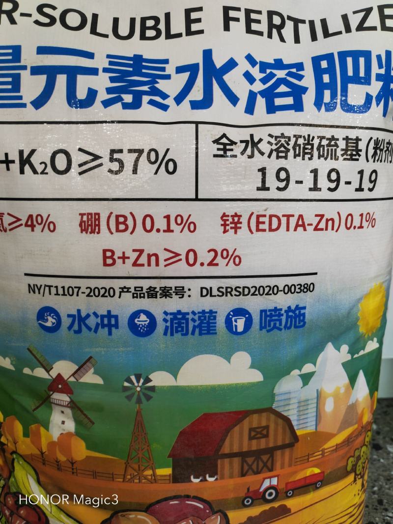 史丹利19-19-19功能性水溶肥特别添加锌硼微量元素