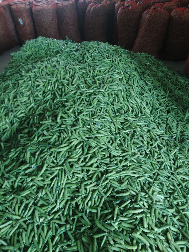 豌豆角大量上市，产地直发