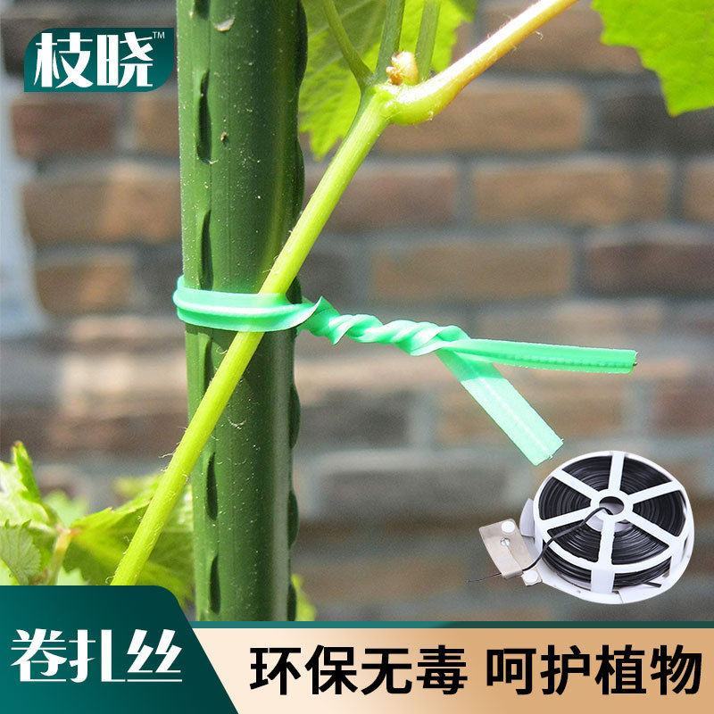 多功能园艺铁丝捆扎线扎带爬藤蔓固定器细铁丝包塑铁丝花架捆