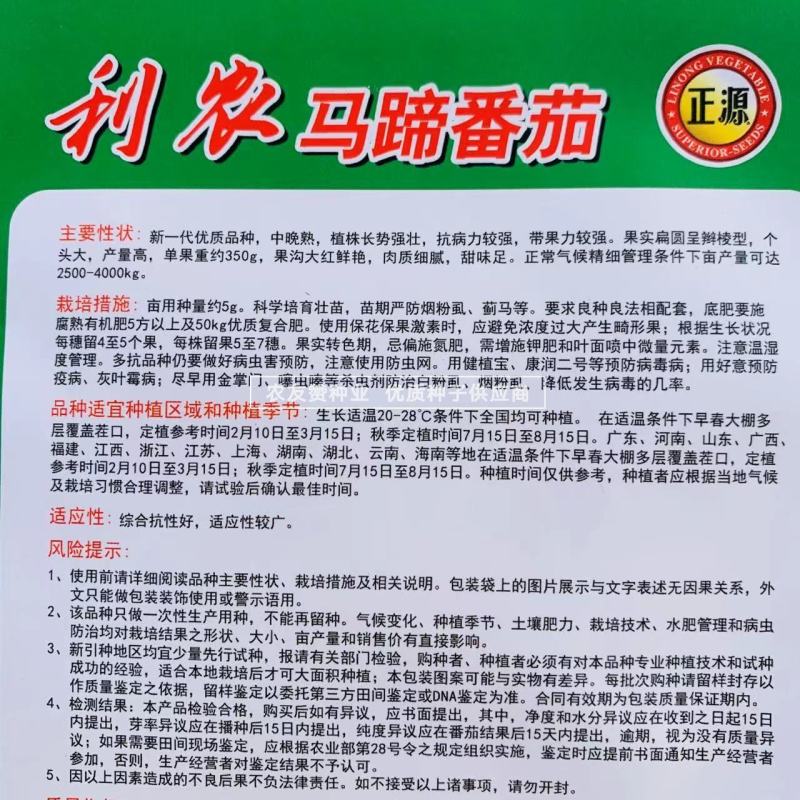 老品种西红柿种子大果马蹄番茄种子大红瓤沙面甜味足，中晚熟
