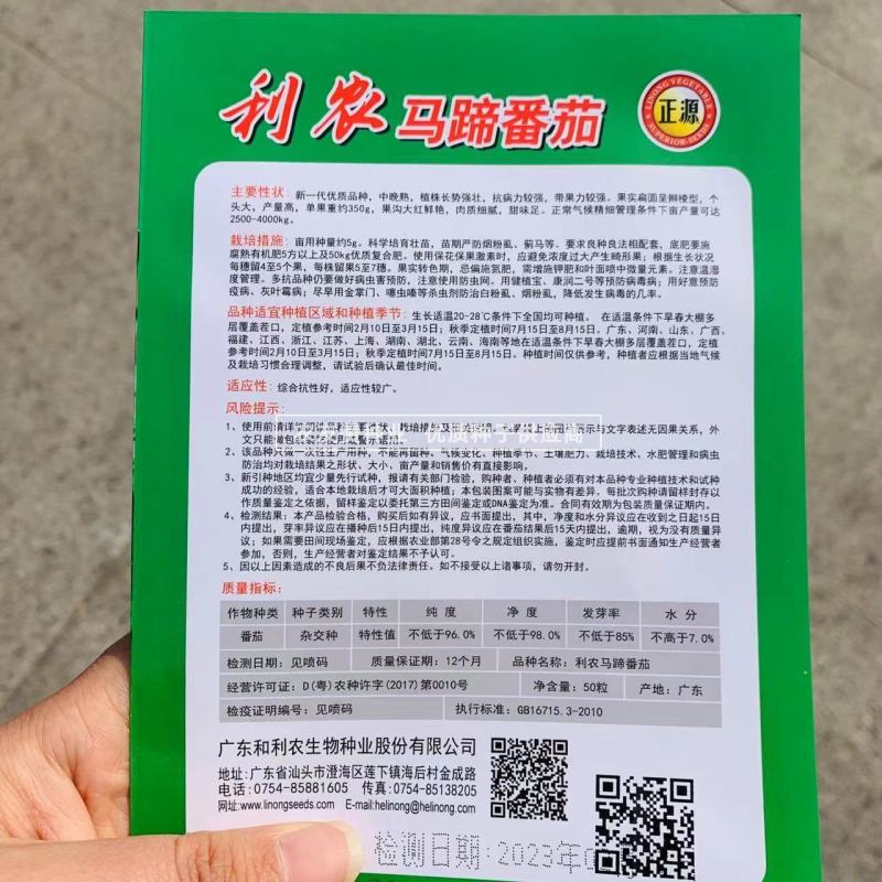 老品种西红柿种子大果马蹄番茄种子大红瓤沙面甜味足，中晚熟