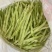 山东九粒芸豆大量供应优质货源大量上市量大从优