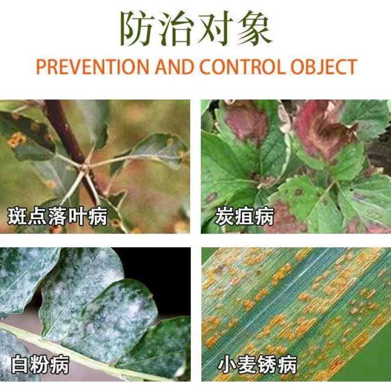 戊唑醇，斑点落叶病，炭疽病，白粉病，小麦锈病