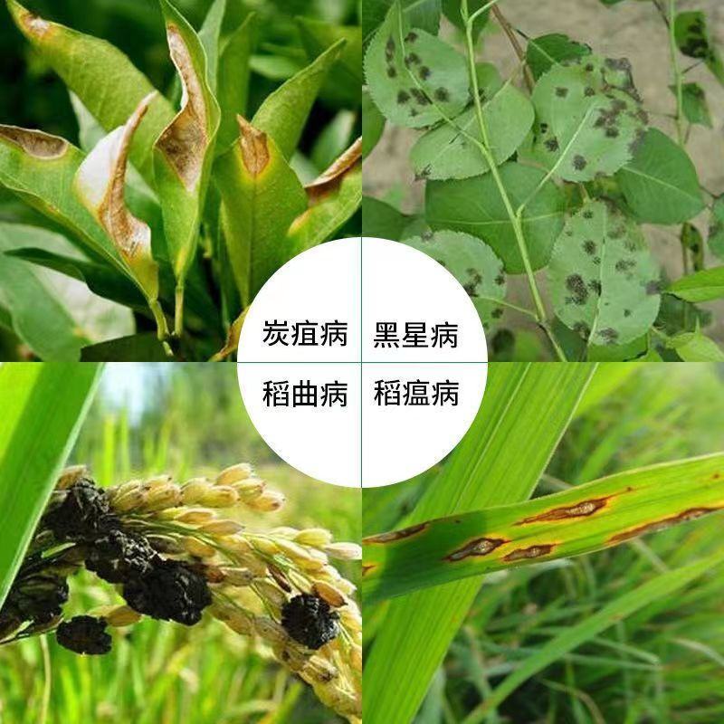 戊唑醇，斑点落叶病，炭疽病，白粉病，小麦锈病