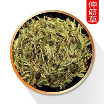 中草药伸筋草舒筋草新货色青无杂诚信品质