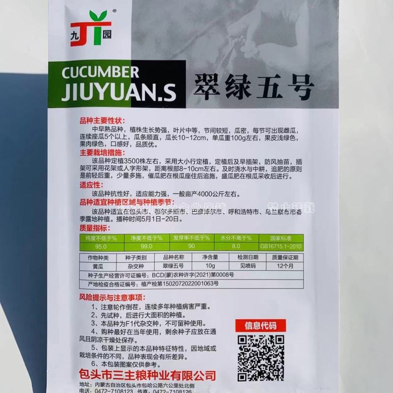 翠绿水果黄瓜种子口感脆甜短棒小黄瓜种子无刺黄瓜种籽