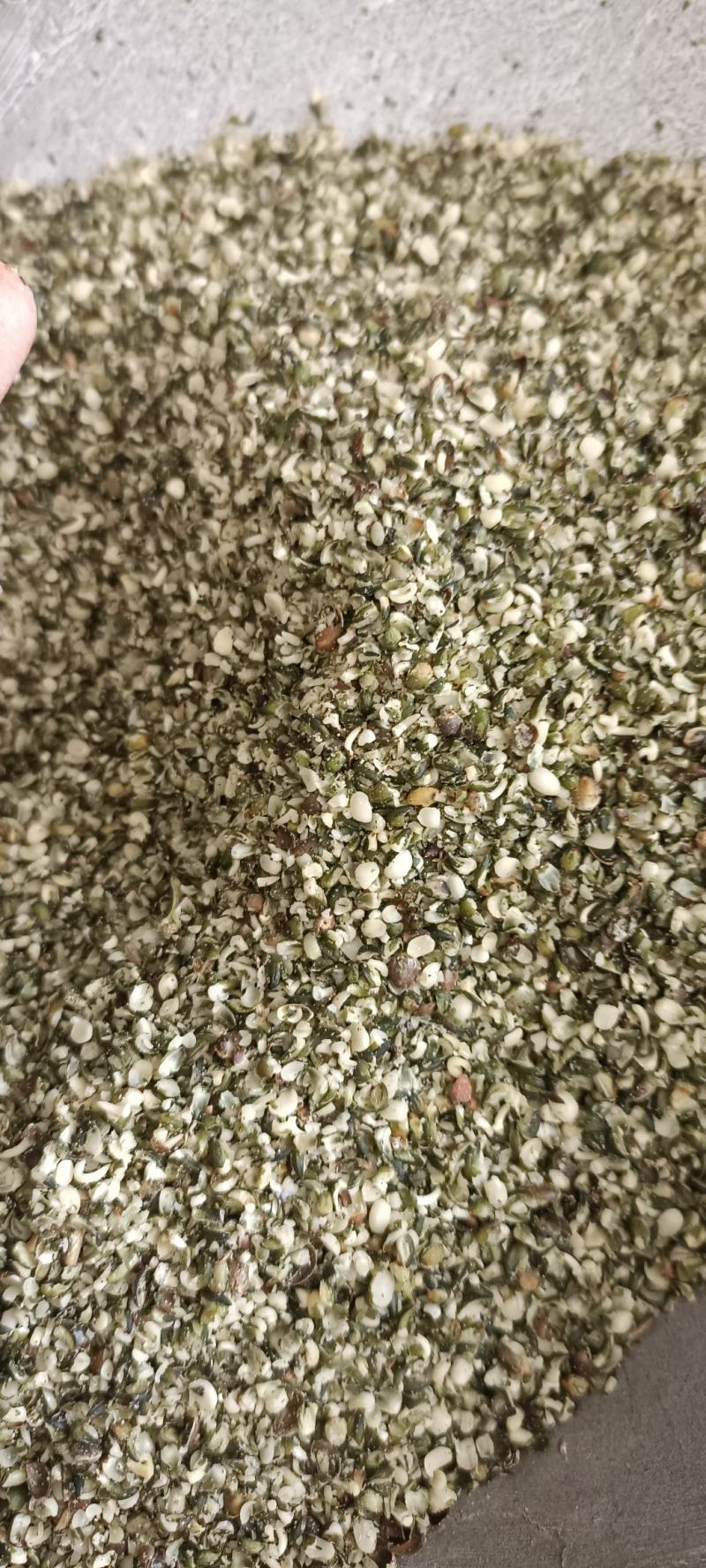 火麻仁，货源充足，保质保量，量大从优欢迎选购