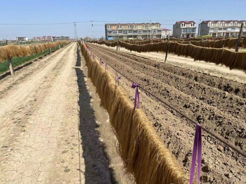 红薯粉条正宗红薯粉条安徽厂家直发品质货源欢迎下单