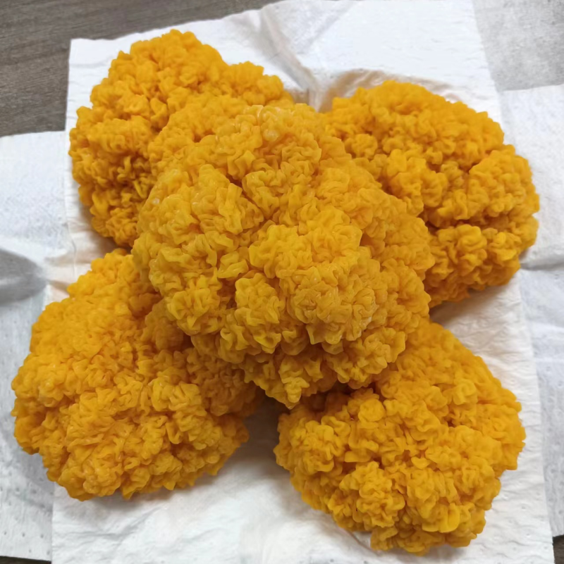 优质农产品鲜品金耳