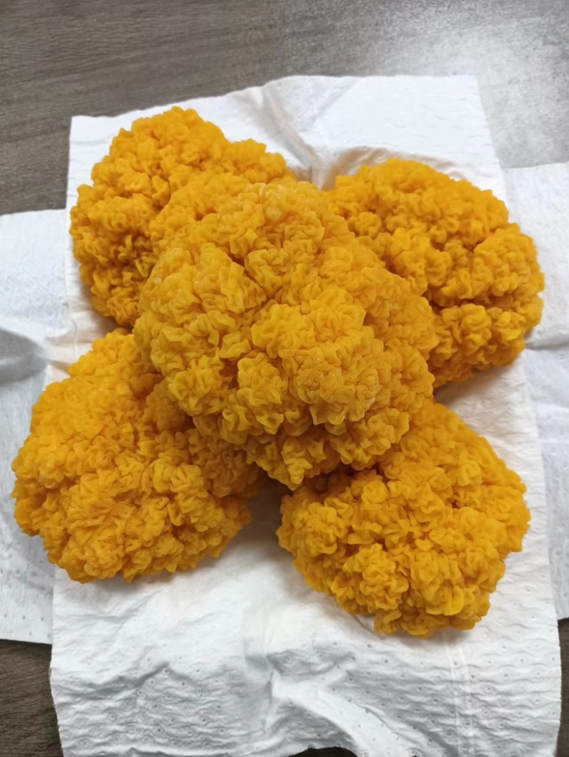 优质农产品鲜品金耳