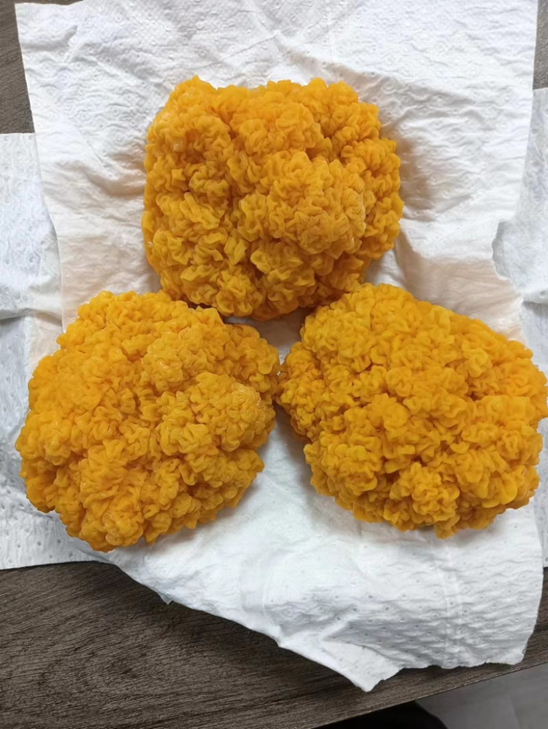 优质农产品鲜品金耳