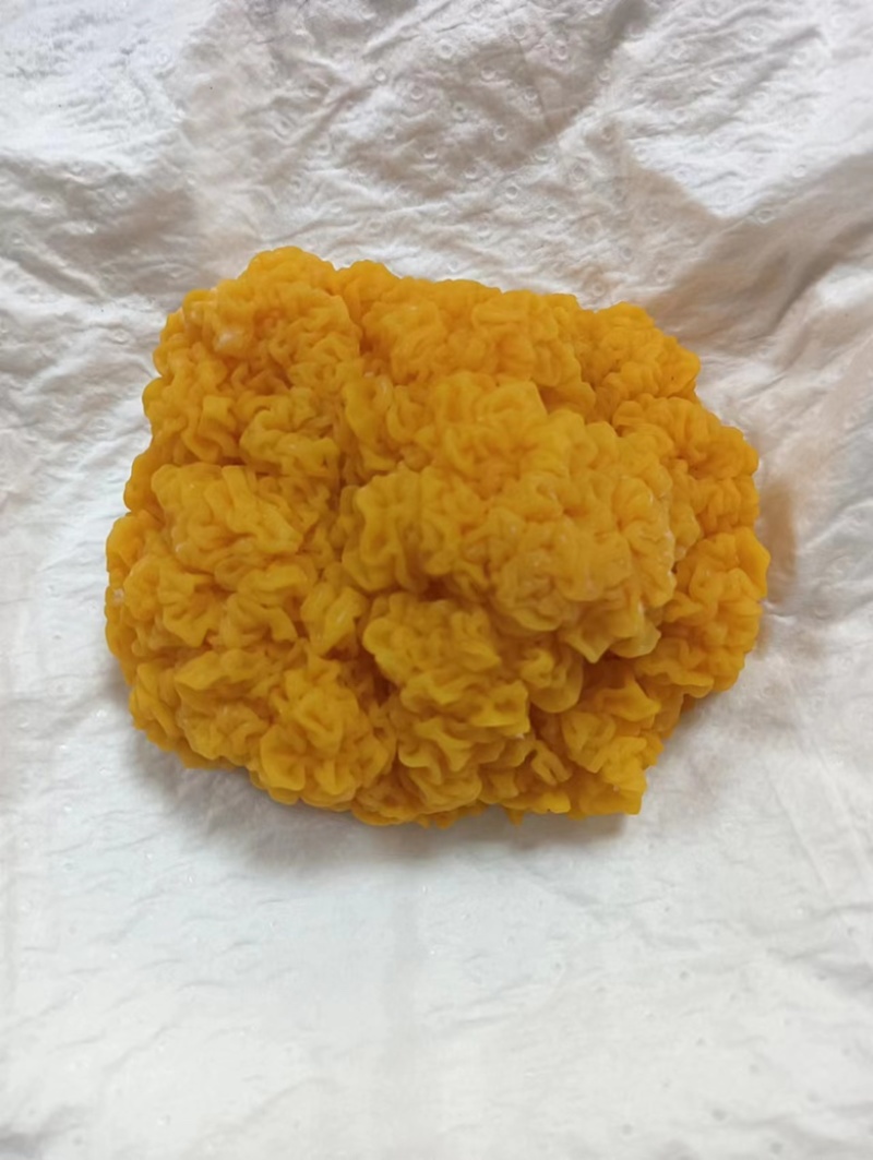 优质农产品鲜品金耳