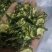 烘干黄瓜干片