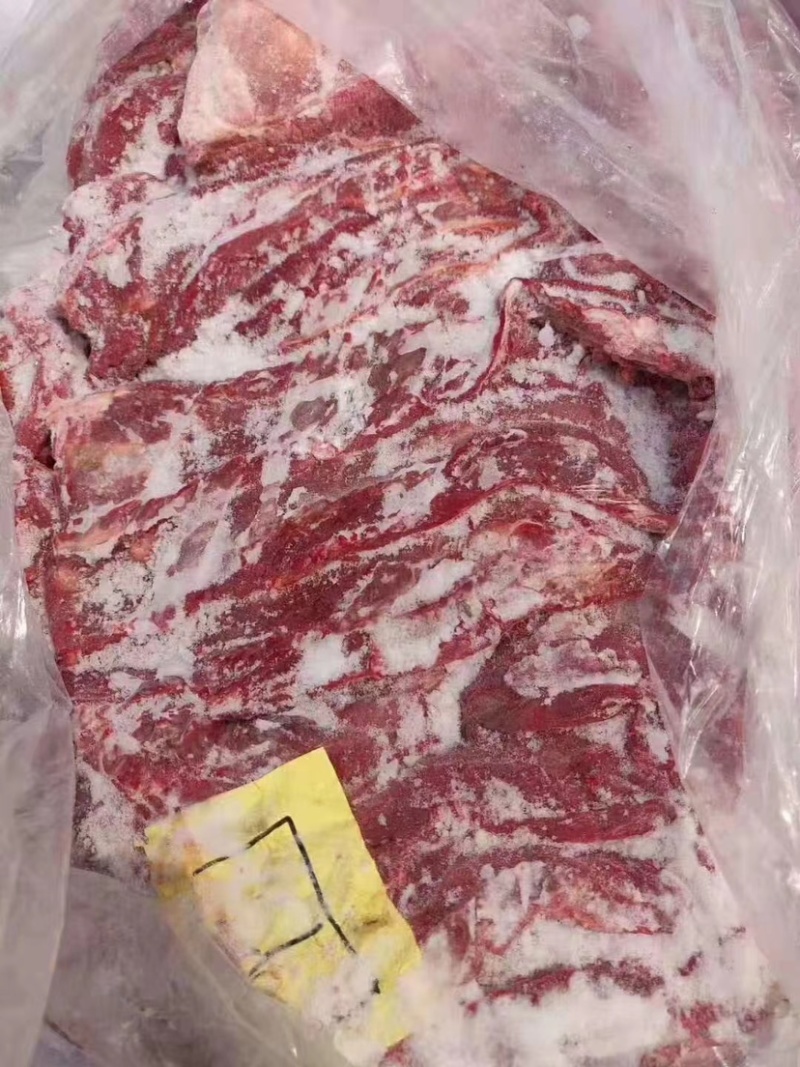马肉新鲜马肉有腿肉肋条腱子脖子不带皮，质量好一手货源