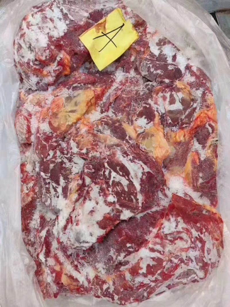 马肉新鲜马肉有腿肉肋条腱子脖子不带皮，质量好一手货源